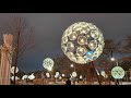 Одуванчики в Москве.  dandelions new year&#39;s. dandelions in Moscow beautiful