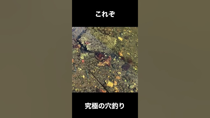 【隙間１センチ】これぞ究極の穴釣り