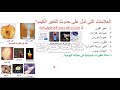 التغيرات الكيميائية الحصة الثالثة عشر صف سادس مدرسة الخويلدية 