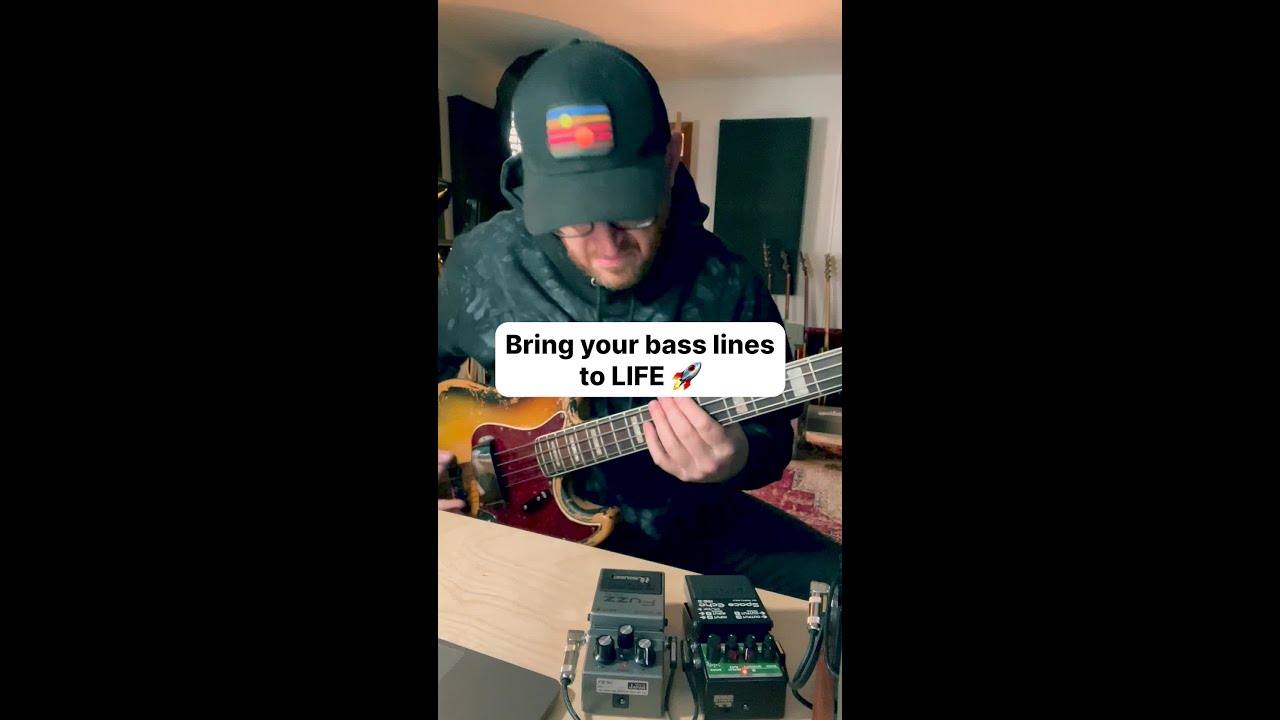 Bring your bass lines to LIFE 🚀