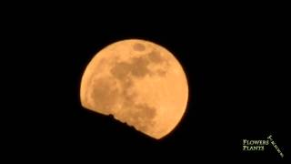 Supermoon The Moon On May 05, 2012 20:30 Pst