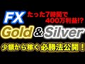 【ゆっくり実況】 FX たった7時間で400万稼いだ話とgoldとsilverを少額から稼ぐ方法を公開