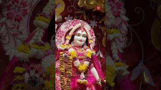 🌸Today’s Special Darshan 5 May 2026🌸Sri Sri Radha Madhava Mandir ISKCON Attapur #iskcon #darshan