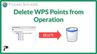 How to Delete WPS Points from the Operation | PROCESS SIMULATE