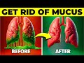 TOP 10 Foods to DETOX and CLEANSE Mucus From Your Lungs