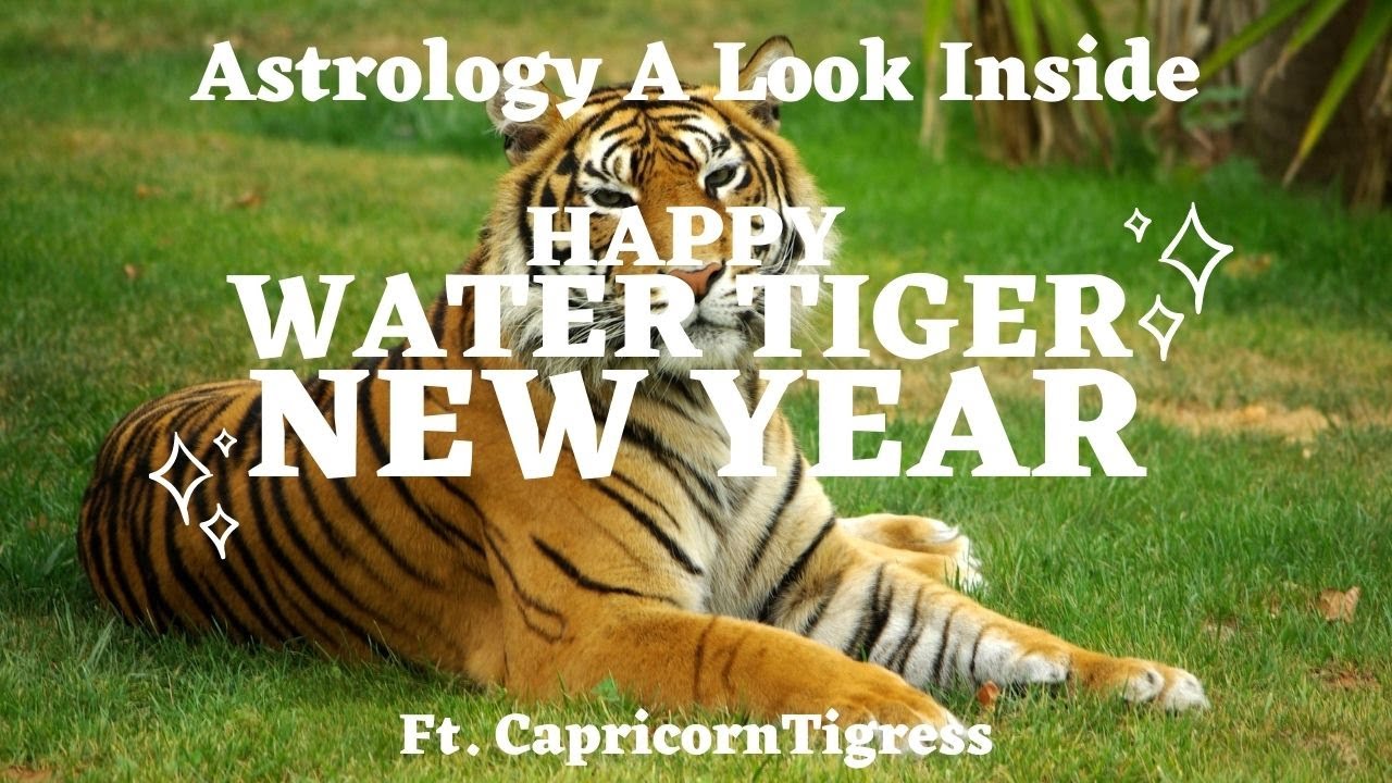 HAPPY CHINESE NEW YEAR - HAPPY WATER TIGER SEASON