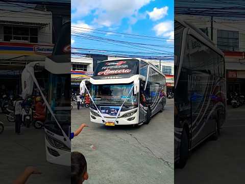 Marita: Mengarungi Jalan Raya dengan Sentuhan Kemewahan dan Kenyamanan