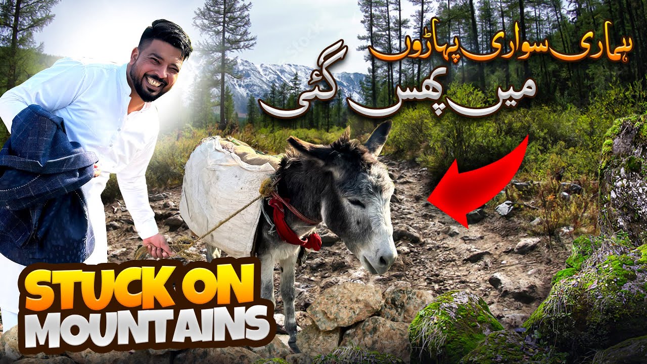 Our Car Stuck On Mountains 😭 | Most Adventurous Vlog 😨