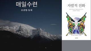 매일 수련- 오공법 -당세