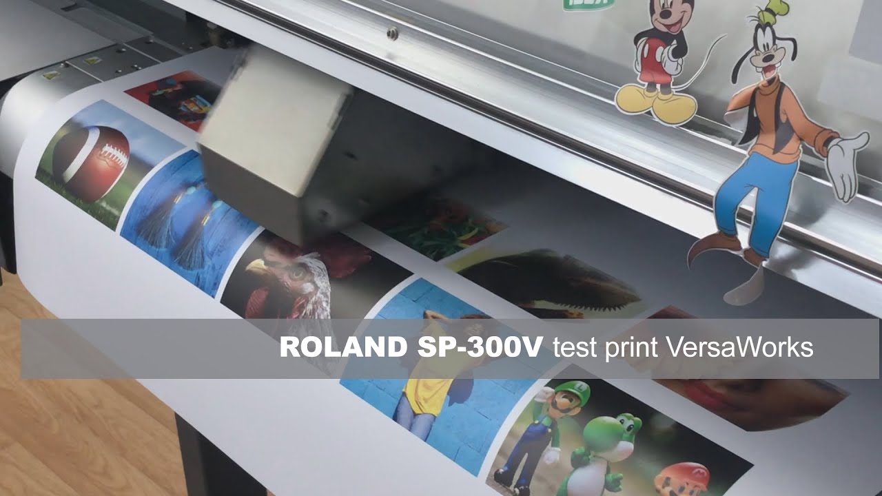 Roland SP-300V test print - YouTube