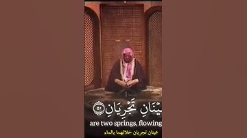 القارئ:علي جابر  سورة: الرحمان