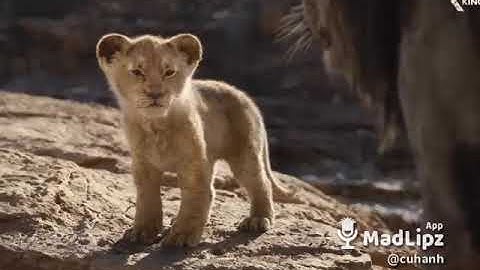 Learning To Roar - Lồng Tiếng Pa Cô (A Lưới)