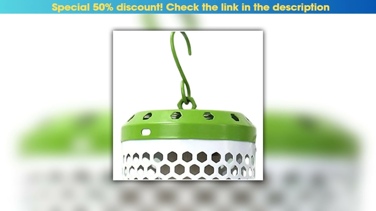 Top Bird Heaters For Caged Birds Terrarium Lamps Pet Supplies Bird Cage Heater Bulb For Turtle Snak