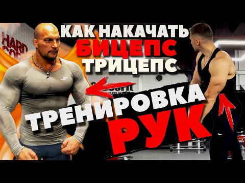 Видео: Как да изградим големи бицепси