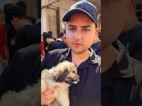 ارخص جلب بسوك الغزل سعر ٦٠ الف دينار عراقي حجم مالته يبقى صغير