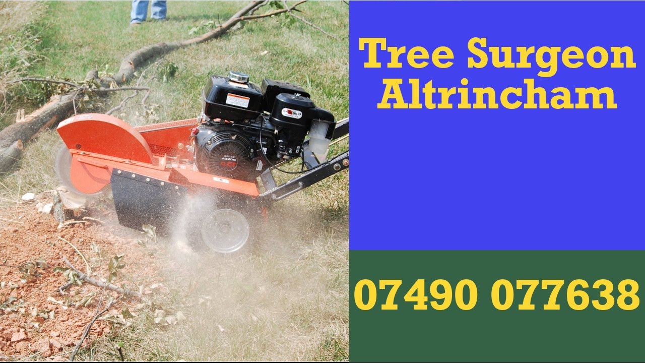Tree Surgeon Altrincham Local Tree Services & Tree Surgery Company