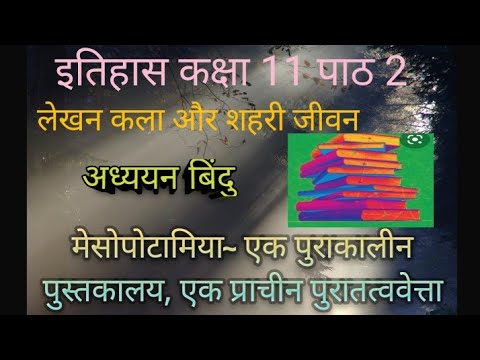 वीडियो: पुस्तकालय में एक विशेष संग्रह क्या है?