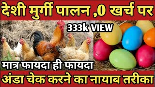 #murgifarm #poultryframing #deshichicken देशी मुर्गी पालन कैसे करें। Deshi Murgi palan kaise karen