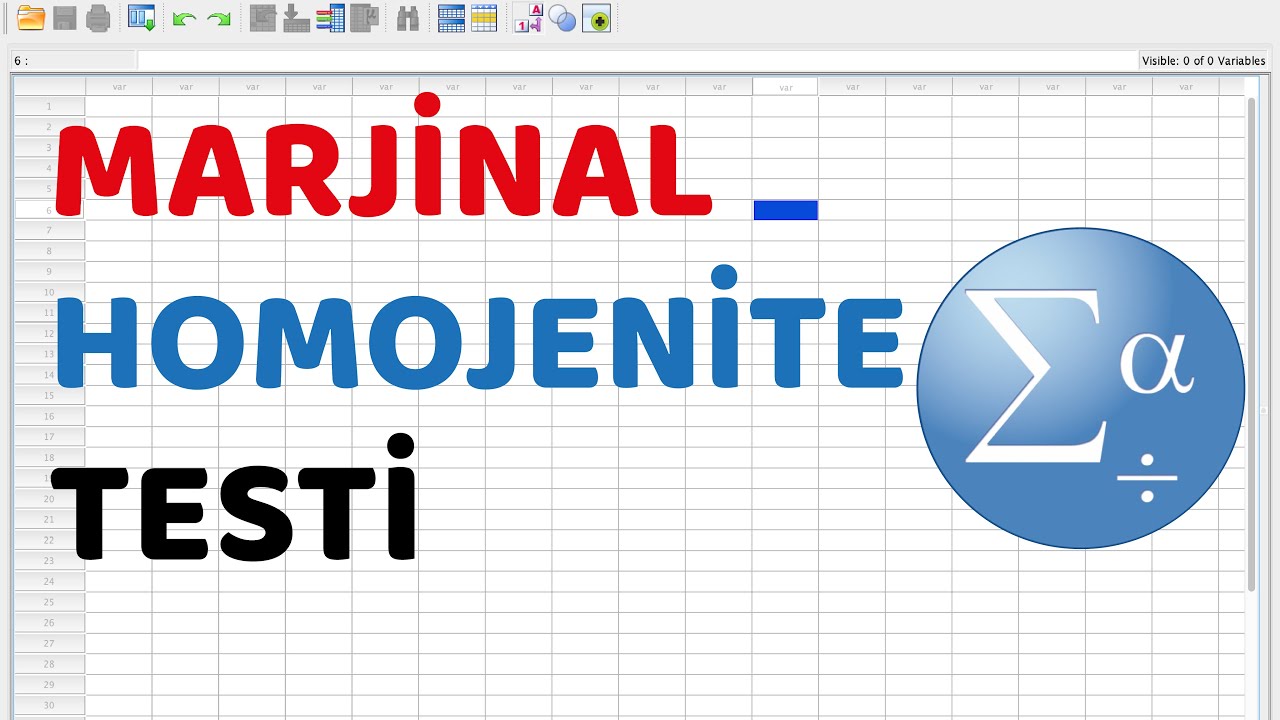 #30 Marginal homojenite testi (Kategorik Veri İkiden Fazla Bağımlı Kategori)