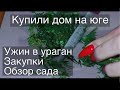 НАШ САД / УРАГАН / КОСТЛЯВАЯ РЫБА / ТЕПЛИЦА / ОГОРОД / УЖИН / Купили дом / Переезд из Москвы / Анапа