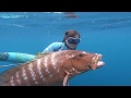 Spearfishing reefs for Cubera and Grouper.