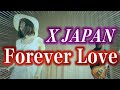 【女性が歌う】Forever Love/ X JAPAN (Key+1)  歌ってみた(エックスジャパン/フォーエバーラブ)cover by MINT SPEC