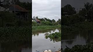 Buổi chiều ở dòng kênh quê tôi.