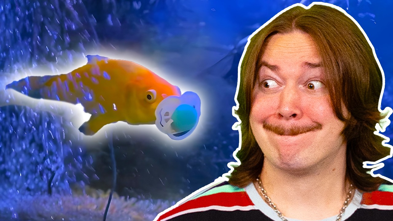 Uncontrollably LOSING IT to Daily Dose of Internet