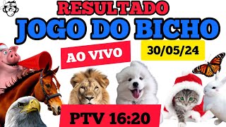 RESULTADO DO JOGO DO BICHO AO VIVO PTV 30/05/24