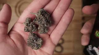 GORILLA CAKE
