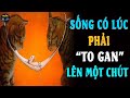 👉 Sống Có Lúc Phải “TO GAN” Lên Một Chút BÀI HỌC CUỘC SỐNG Nghe Xong Tràn Trề Động Lực | Ngẫm Mà Xem