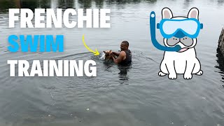 Can Frenchie’s Swim??? (Building Confidence)