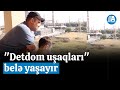 &quot;Detdom uşaqları&quot; belə yaşayır