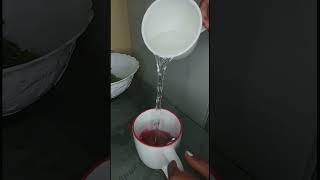 How to make Hibiscus Mint tea