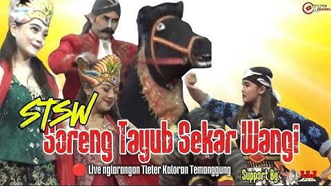 STSW..... SORENG TAYUB SEKAR WANGI KWARAKAN LIVE NGLARANGAN TLETER KALORAN TEMANGGUNG