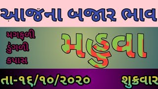#commodity_mahua#commodity price 16.10.2020 mahua marketing yard na bhav/bjar bhav mahua/rate...