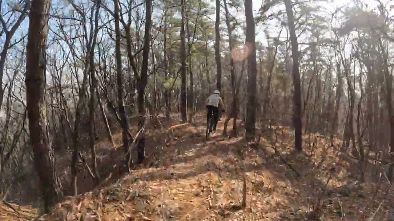 2026.1.17 (토) 도락산 "산북" 