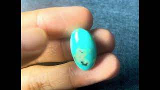 Firus Besar Biru Muda Jantan Motif Kepaduan