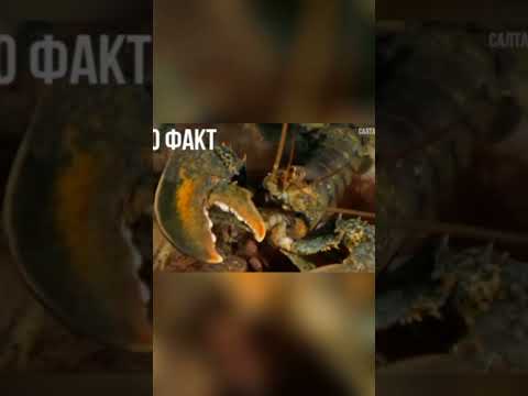 наука и технологии факты #youtubeshorts #like #love #gaming #youtube #рекомендации#ukraine#подпишись