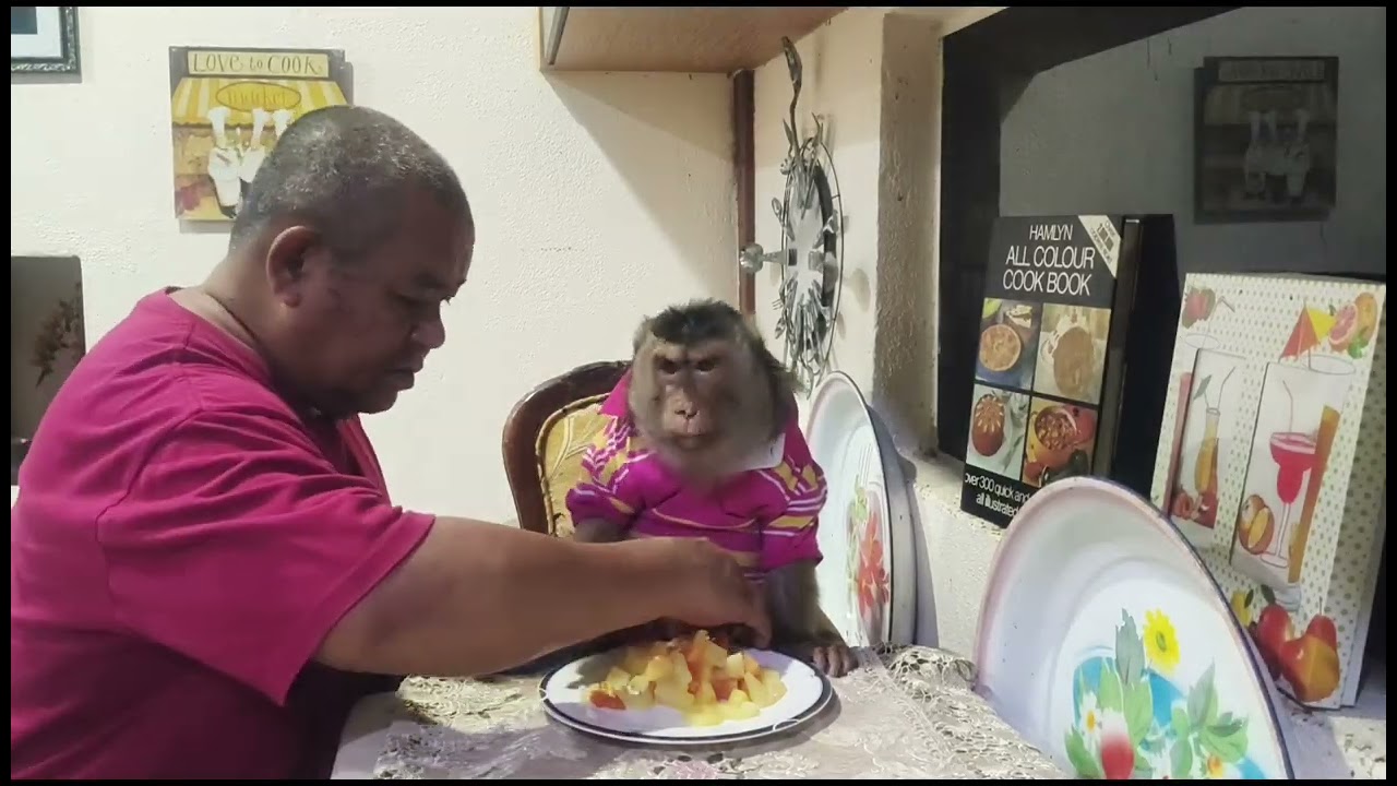 Shaki enjoy eating Alone
