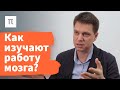 Работа мозга при решении когнитивных задач — Александр Храмов / ПостНаука