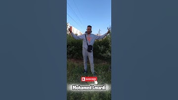 اذ قال ابراهيم #سورة_الأنعام #قرآن #قران_كريم #سورة #سورة_إبراهيم