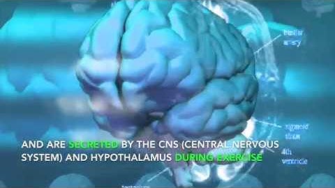 The feeling of euphoria after running - RUNNER