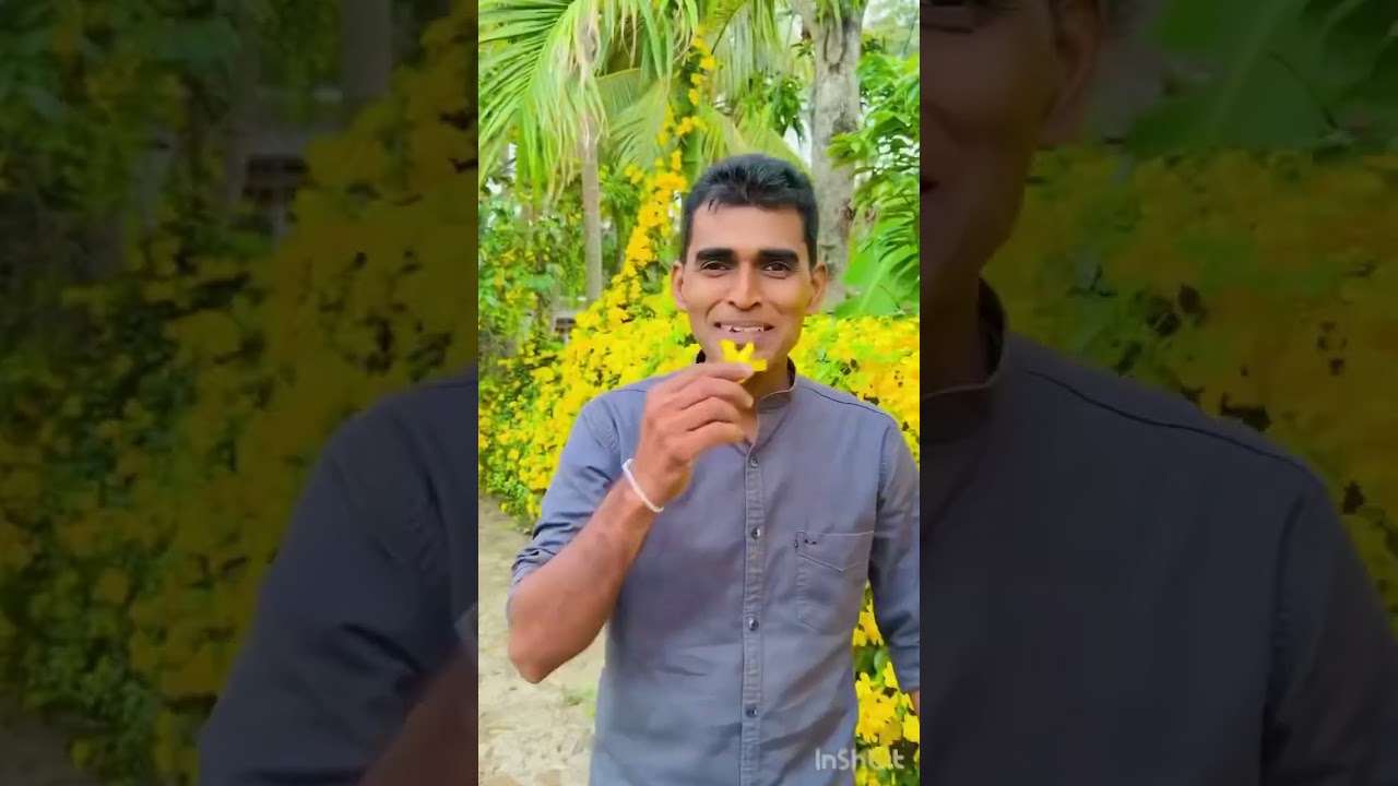 සිකුරිටි 3 දෙනෙක් දාලා රකින අසංක අයියගෙ 🐈පහුරු 🌼මල් වැල  මල්වැල් ඕන අය, සුවද විදින්න ඉගෙනගන්න ❤️