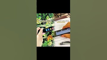 Click the Link in my Bio to buy yours! WE SHIP FOR FREE WORLDWIDE