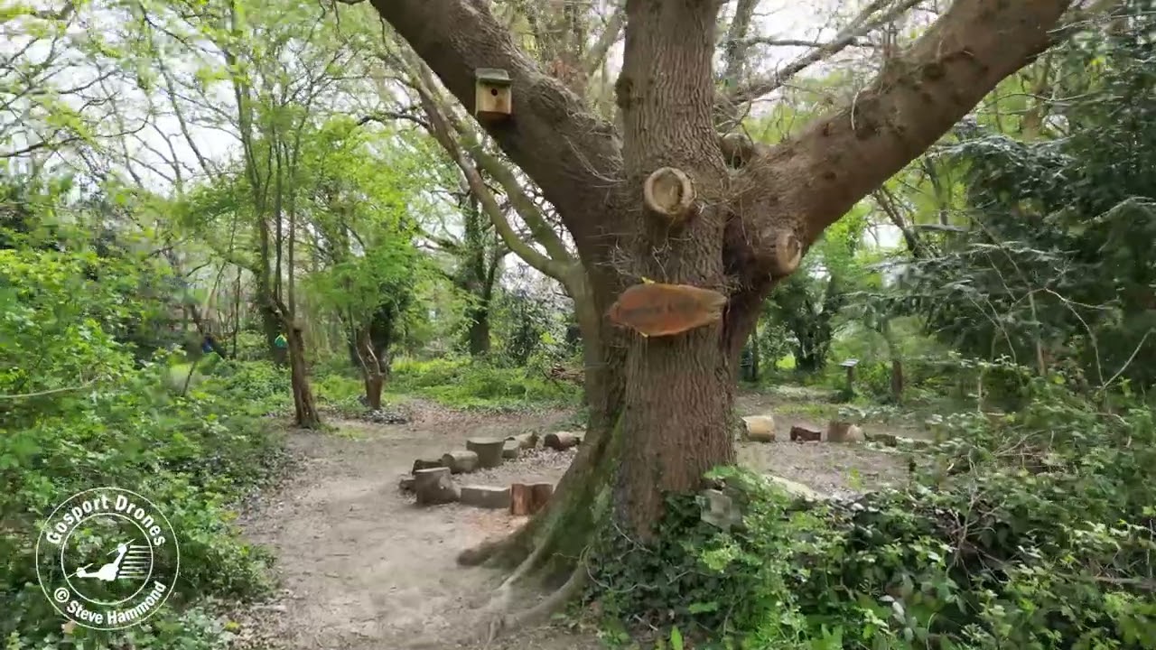 Stubbington Study Centre The Grounds