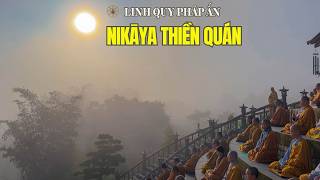 NIKAYA Thiền Quán - Chúng Ta Đang Bị Hại *