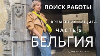 БЕЛЬГИЯ Временная Защита для украинцев ПОИСК РАБОТЫ