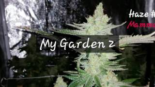 My Garden