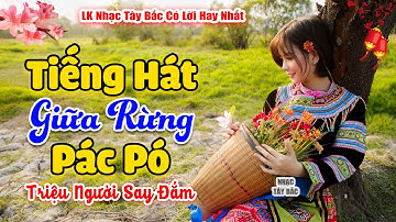 TIẾNG HÁT GIỮA RỪNG PÁC PÓ | LK Nhạc Tây Bắc Hay Nhất 2024 | Triệu Người Say Khúc Nhạc Đượm Tình